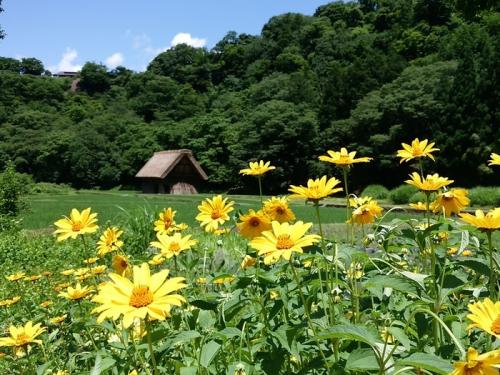 夏休み〜旅行せっかく白川郷にいらしたら４