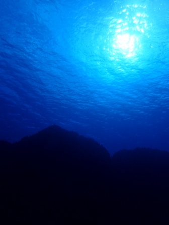 サイパン ダイビング ライセンス