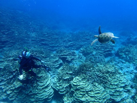 サイパン ダイビング ライセンス