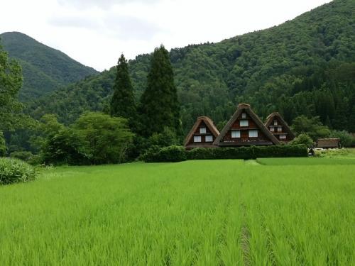 暑い夏が到来!! 夏休みの家族旅行に７