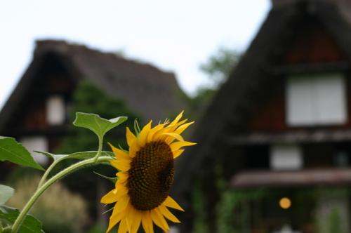 夏の旅行は、人の多いお盆を過ぎてから1