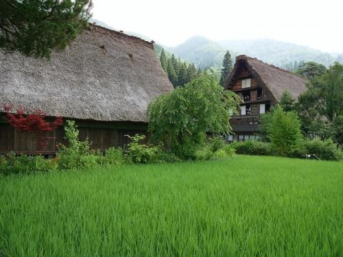 夏の旅行は、人の多いお盆を過ぎてから２