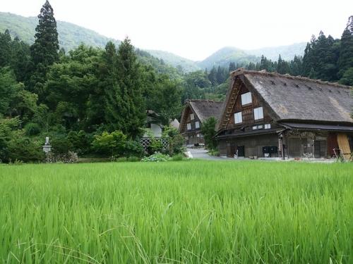 夏の旅行は、人の多いお盆を過ぎてから4