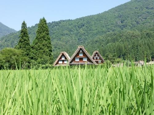 夏の旅行は、人の多いお盆を過ぎてから９