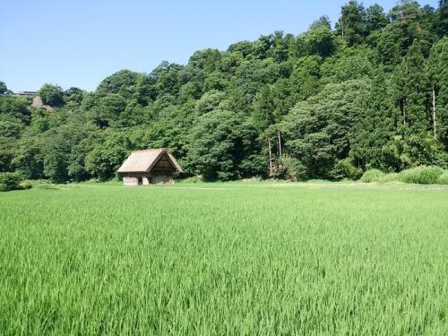 夏のピーク時をズラして白川郷へ 3