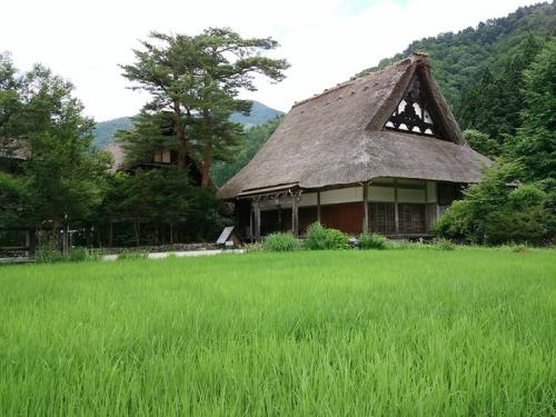 お盆休みを利用して、白川郷へ 4