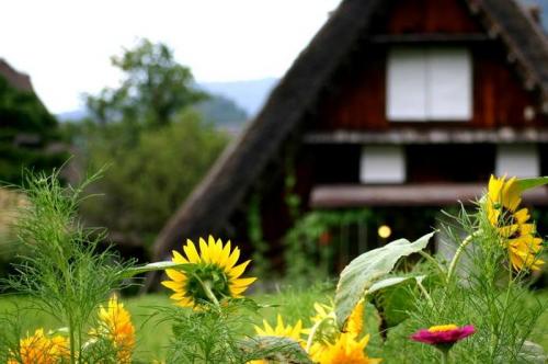 お盆休みを利用して、白川郷へ 9