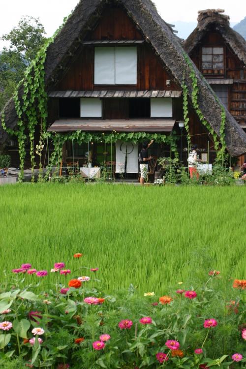 夏休みは白川郷 日常を忘れ 5