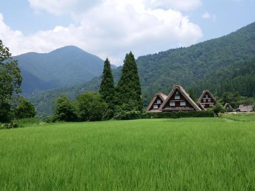 夏休みは白川郷 日常を忘れ 7