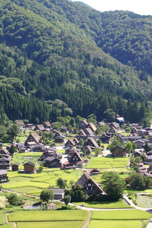 お盆のお出かけどこに行く? 白川郷2