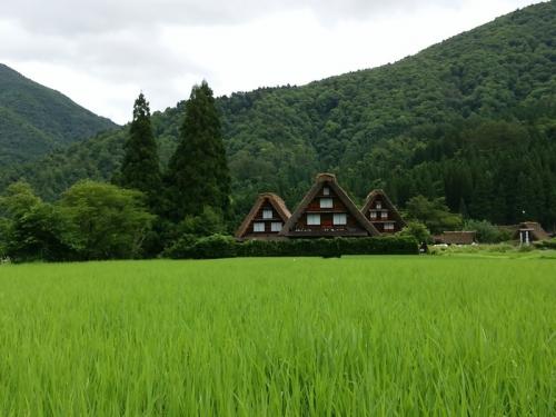 お盆のお出かけどこに行く? 白川郷4
