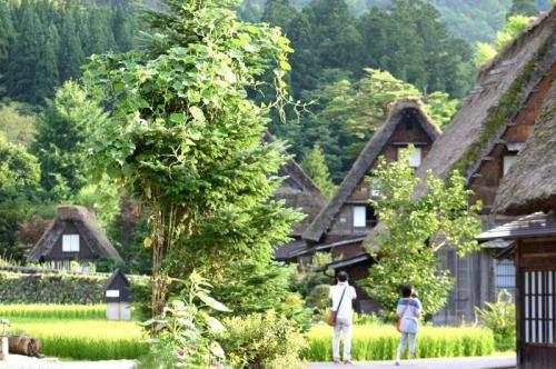 お盆のお出かけどこに行く? 白川郷5