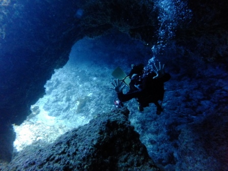 サイパン ダイビング ライセンス