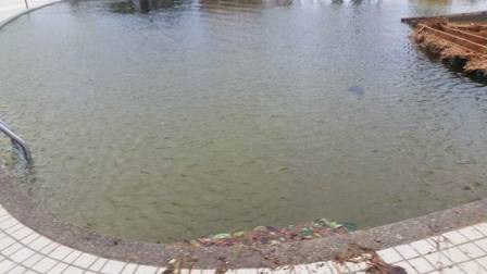 サイパン 体験ダイビング