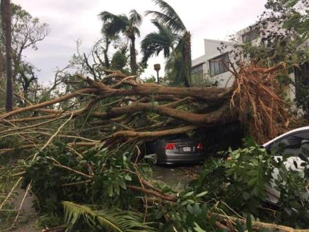 サイパン ダイビング