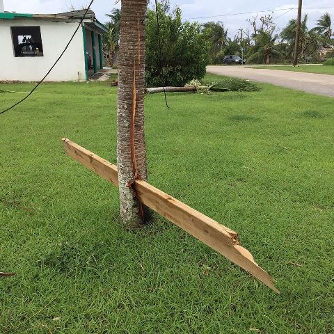 サイパン 体験ダイビング