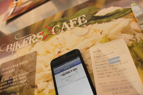 有料ですがWi-Fiも使えます