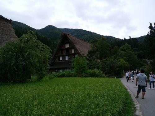 少しずつ暑さが和らぐこの季節!白川郷へ7