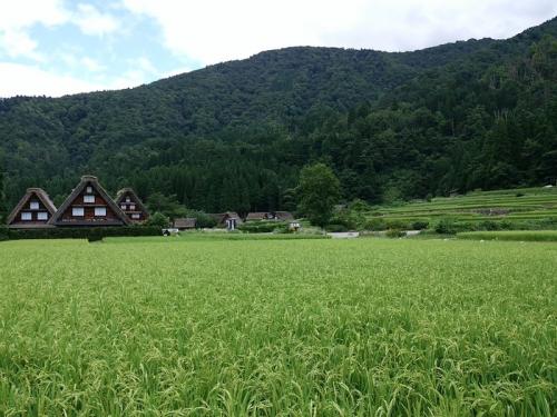 あっという間に夏の終わりに 2