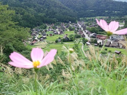 あっという間に夏の終わりに 4