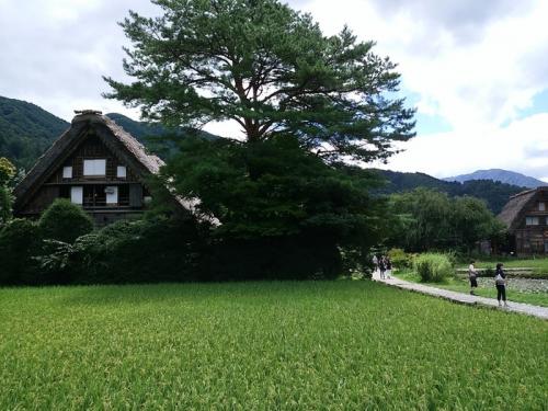 あっという間に夏の終わりに 7