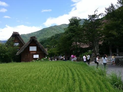 あっという間に夏の終わりに 8