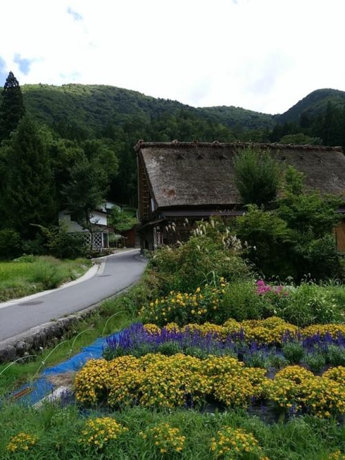 あっという間に夏の終わりに 9