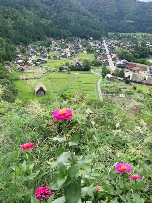 暑い夏も終わり、疲れもでるころですね1