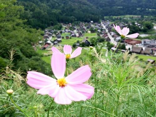 暑い夏も終わり、疲れもでるころですね2