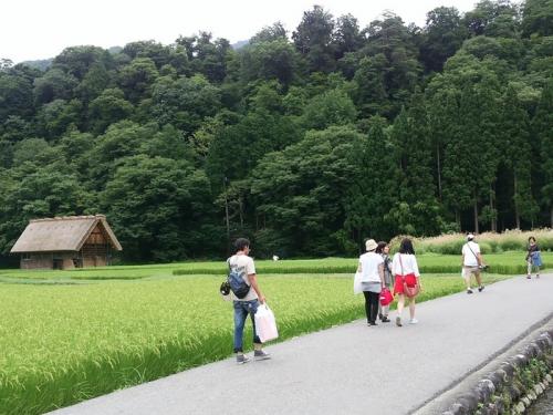 暑い夏も終わり、疲れもでるころですね4