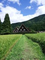 暑い夏も終わり、疲れもでるころですね８