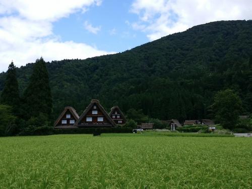 暑い夏も終わり、疲れもでるころですね9