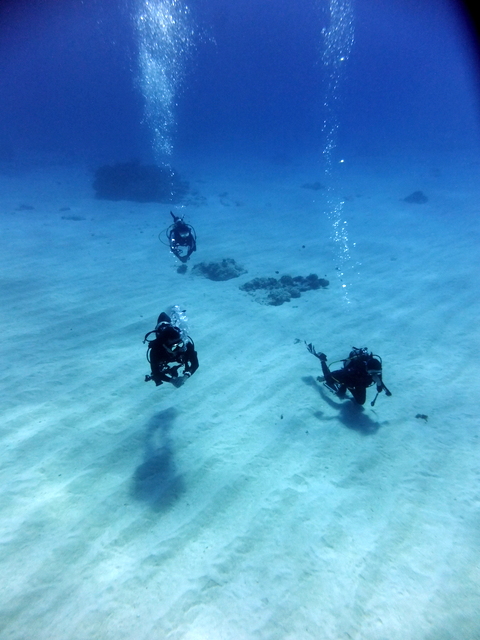 サイパン 体験ダイビング