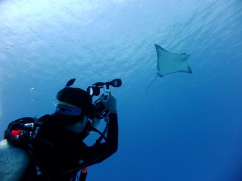 サイパン 体験ダイビング