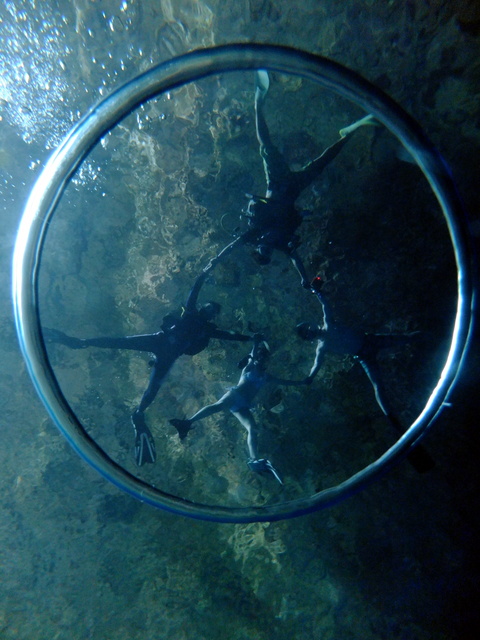 サイパン ダイビング ライセンス