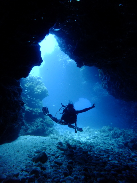 サイパン ダイビングショップ