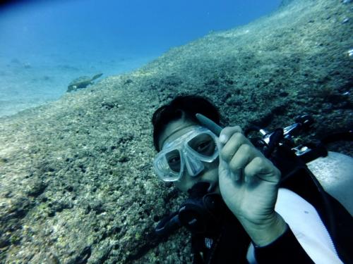 サイパン 体験ダイビング