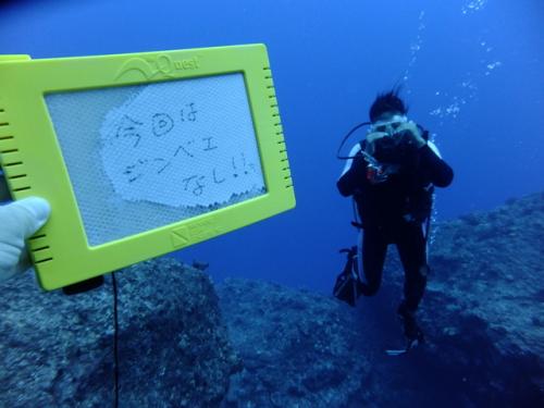 サイパン ダイビング ライセンス