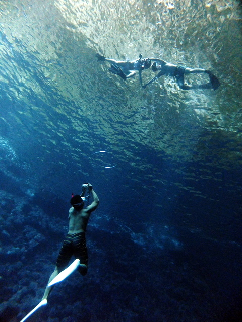 サイパン ダイビングショップ