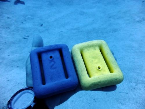 サイパン ダイビング ライセンス