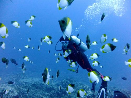 サイパン ダイビングショップ