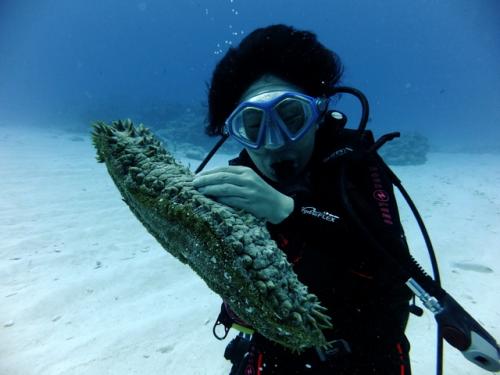 サイパン ダイビング