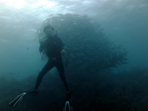 サイパン ダイビング ライセンス