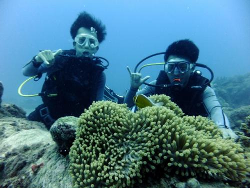 サイパン 体験ダイビング