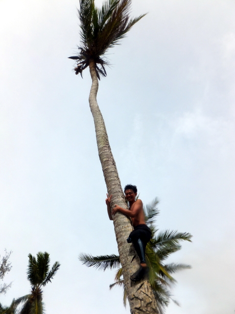 サイパン ダイビングショップ