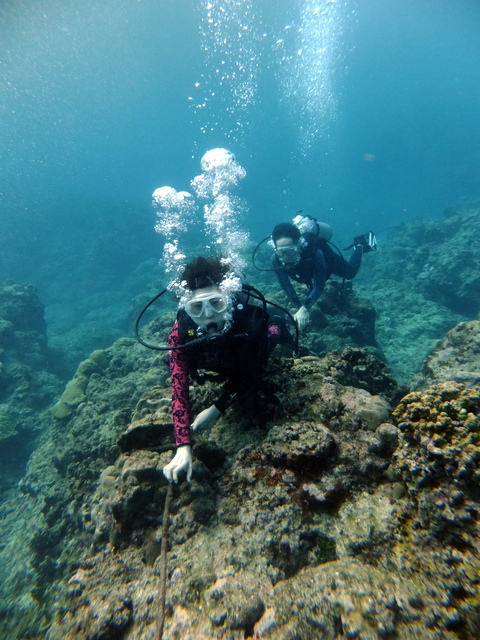 サイパン ダイビング ライセンス