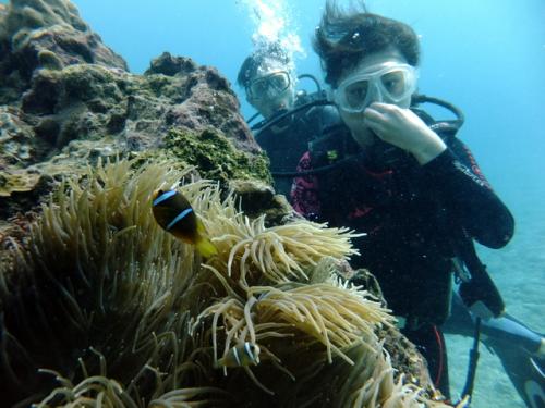 サイパン ダイビング