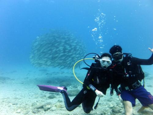サイパン 体験ダイビング