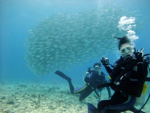 サイパン ダイビング