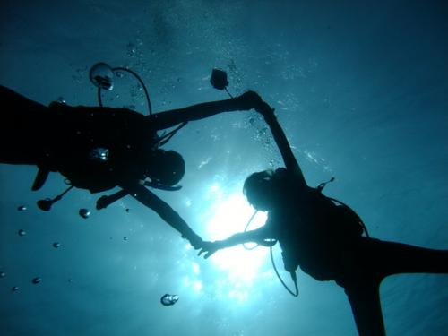 サイパン ダイビングショップ